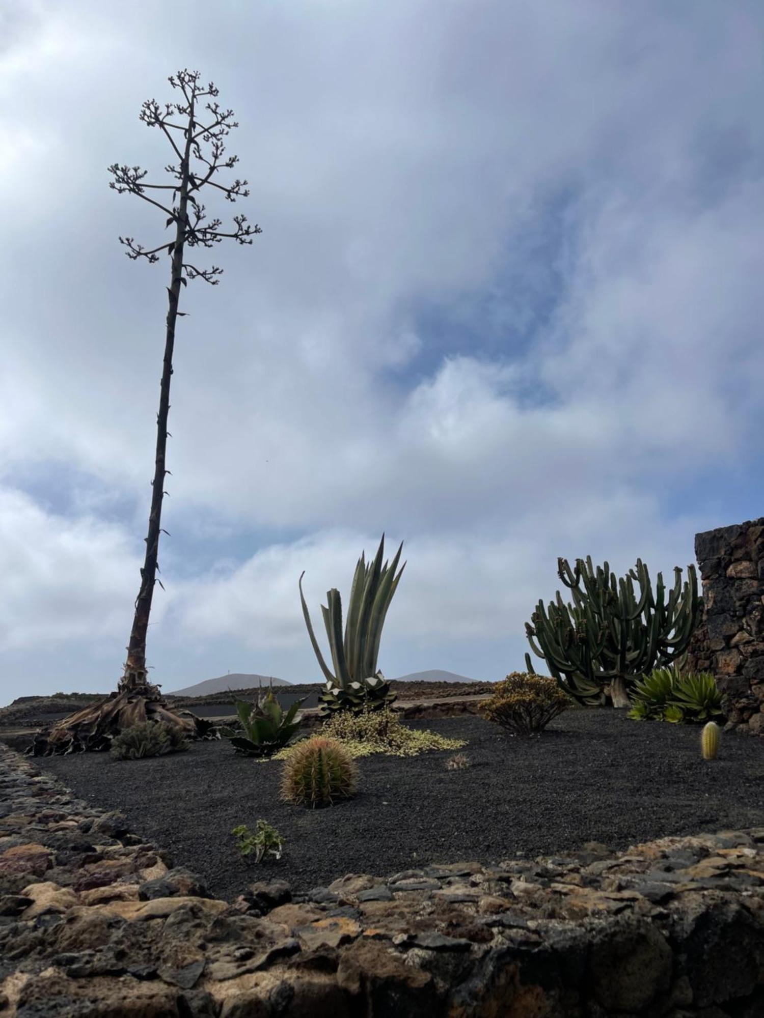 Villa Timanfaya Tinajo Exterior foto