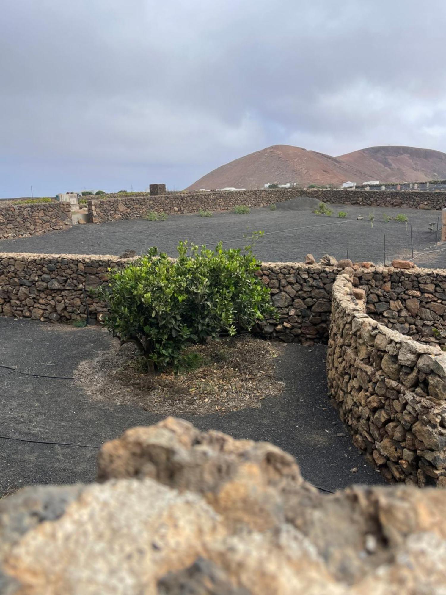 Villa Timanfaya Tinajo Exterior foto