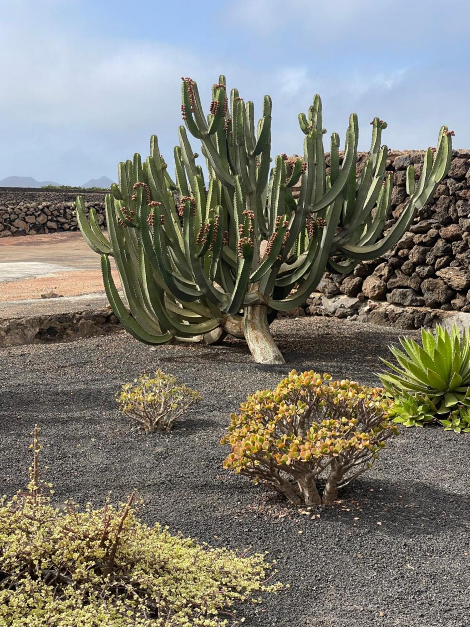 Villa Timanfaya Tinajo Exterior foto